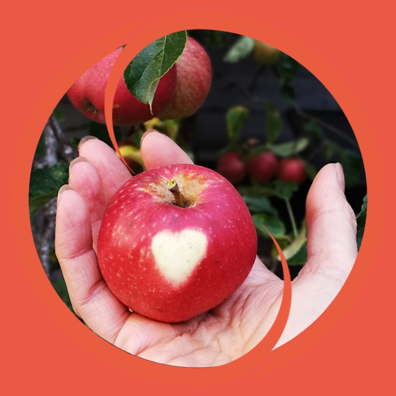 appel met hart